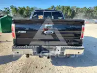 2013 Ford F-150 фото