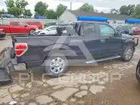2013 Ford F-150 photo