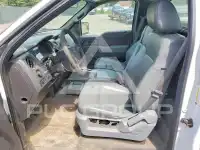 2013 Ford F-150 photo