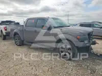 2013 Ford F-150 фото