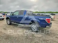 2013 Ford F-150 photo