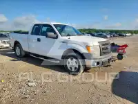 2013 Ford F-150 photo