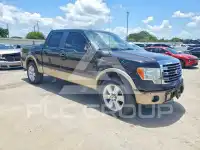 2013 Ford F-150 фото