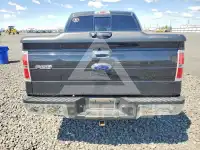 2013 Ford F-150 фото