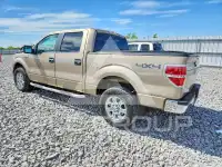 2013 Ford F-150 photo