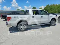 2013 Ford F-150 фото