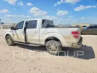 2013 Ford F-150 photo