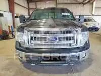 2013 Ford F-150 photo