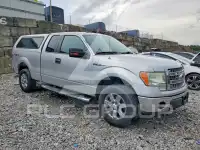 2013 Ford F-150 photo