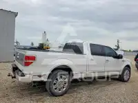 2013 Ford F-150 фото