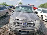 2013 Ford F-150 фото