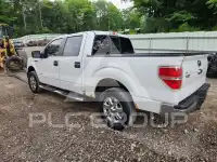 2013 Ford F-150 фото