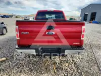 2013 Ford F-150 photo