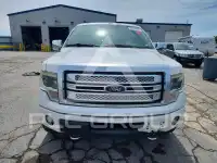 2013 Ford F-150 photo