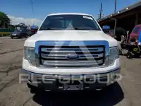 2013 Ford F-150 photo