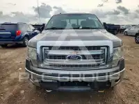 2013 Ford F-150 photo