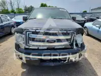 2013 Ford F-150 photo