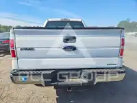 2013 Ford F-150 photo