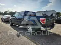 2013 Ford F-150 photo