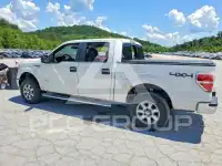 2013 Ford F-150 фото
