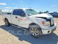 2013 Ford F-150 photo