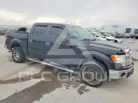 2013 Ford F-150 фото