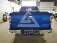 2013 Ford F-150 photo