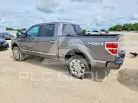 2013 Ford F-150 фото