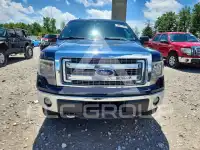 2013 Ford F-150 photo