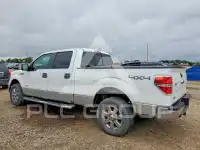 2013 Ford F-150 фото