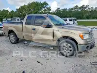2013 Ford F-150 фото