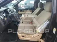 2013 Ford F-150 photo
