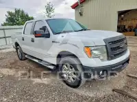 2013 Ford F-150 фото