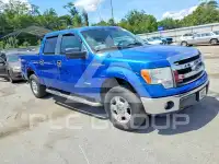 2013 Ford F-150 фото