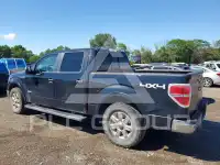 2013 Ford F-150 фото