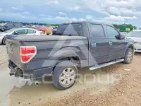 2013 Ford F-150 photo