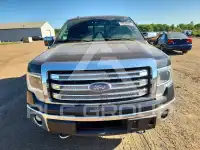 2013 Ford F-150 фото