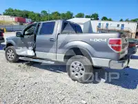 2013 Ford F-150 фото