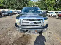 2013 Ford F-150 photo