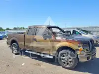 2013 Ford F-150 photo