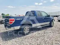 2013 Ford F-150 photo