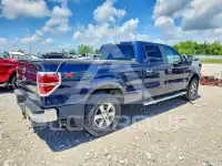 2013 Ford F-150 photo