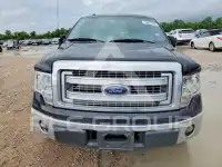 2013 Ford F-150 photo