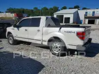 2013 Ford F-150 photo
