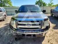 2013 Ford F-150 photo
