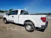 2013 Ford F-150 photo