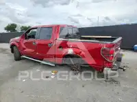 2013 Ford F-150 фото