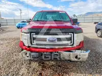 2013 Ford F-150 photo
