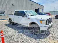 2013 Ford F-150 фото