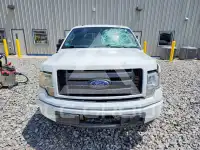 2013 Ford F-150 фото